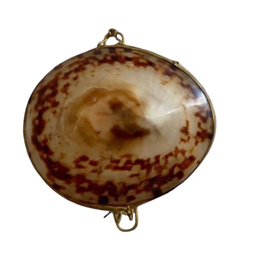 Twos Company Sea Shell Jewelry Pill Trinket Holder Unique Beach Gift Box.